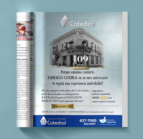 Institucional revistas