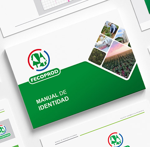 Manual de identidad