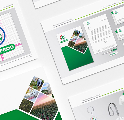 Manual de identidad