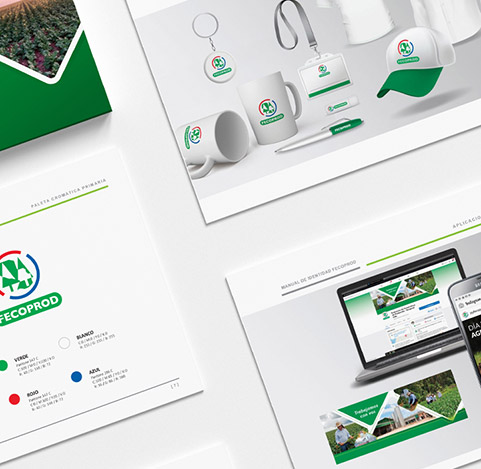 Manual de identidad