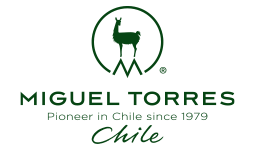 Bodega Miguel Torres