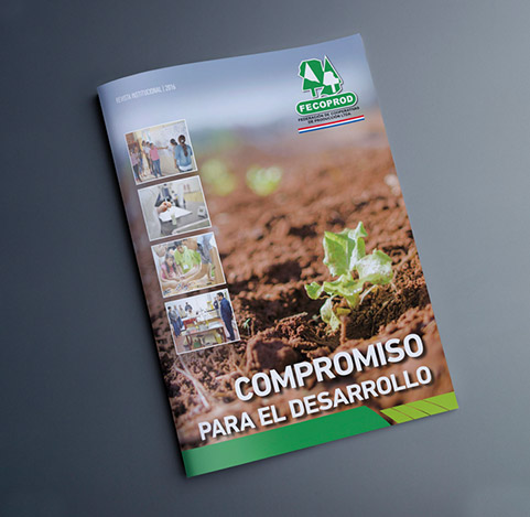 Revista institucional