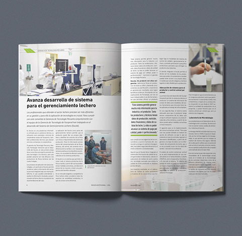 Revista institucional