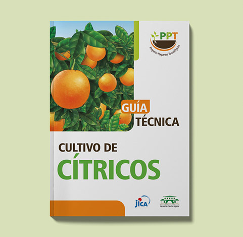Guía técnica